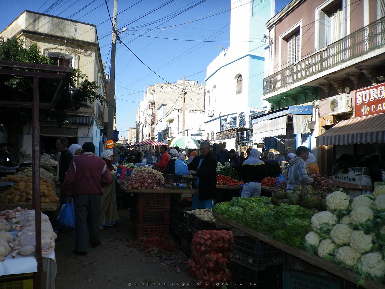 1470 rue joseph oliva le marche.JPG